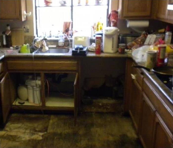 Why SERVPRO - Kitchen Mold Before