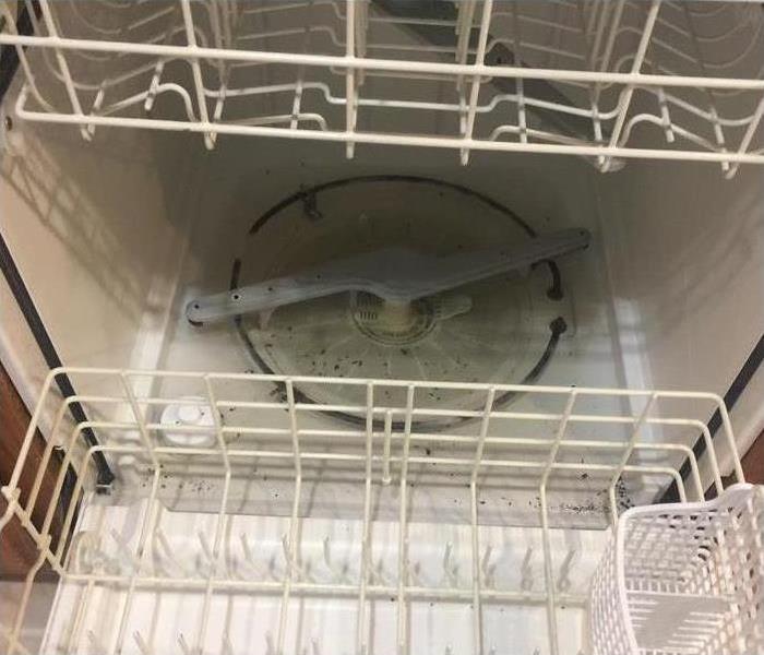Image of open dishwasher